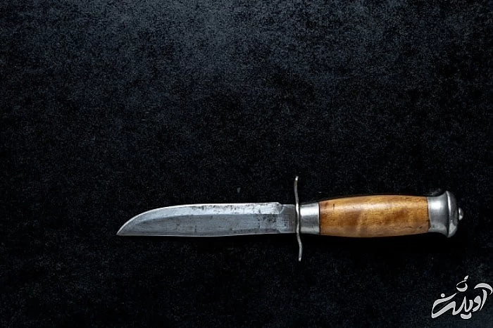 چاقو بیرون آمده از شکم سگ چاقو